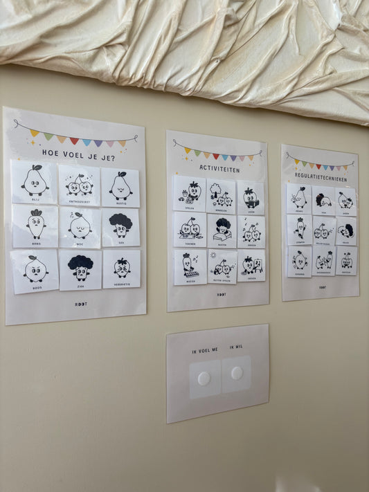 Gevoelens- en regulatiekaarten